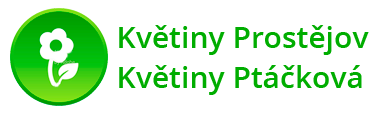 Květiny Prostějov - Květiny Ptáčková s.r.o.